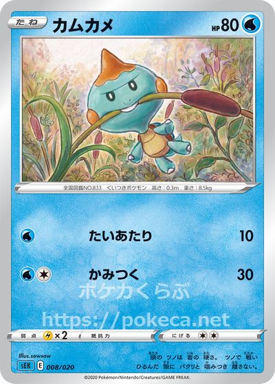 カムカメ ポケモンカード スターターセットvmax カメックス